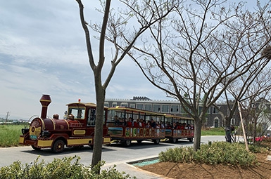 日照72座“花仙子号”观光小火车