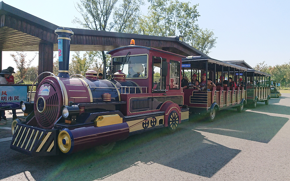 四川 72座观光小火车（鸢尾紫）