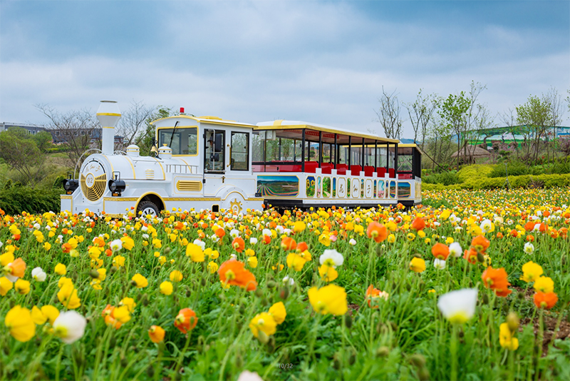 花海小火车