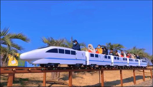 18座观光小火车（贵族白）