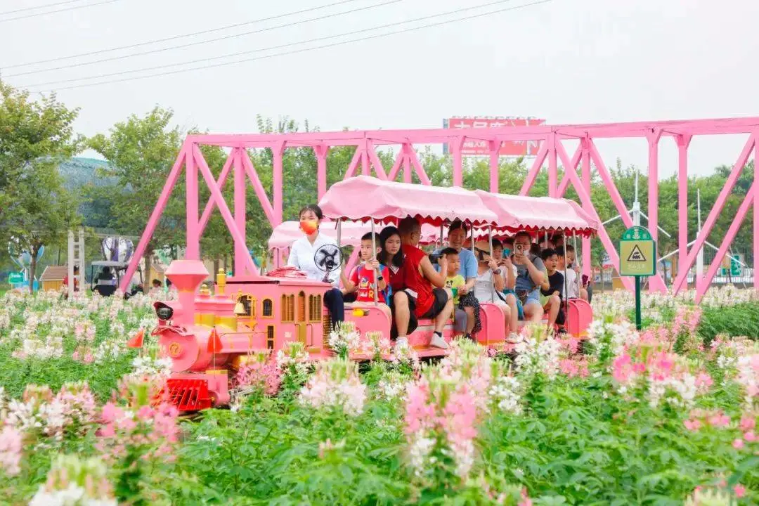 酒泉常熟蒋巷生态园16座网红小火车