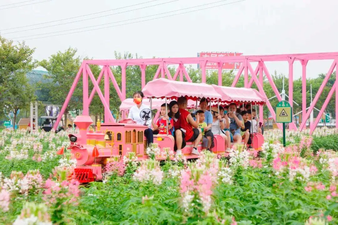 柳州常熟蒋巷生态园16座网红小火车