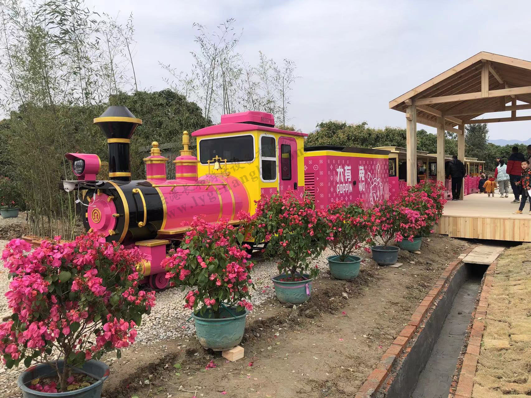 48座轨道观光小火车(老花玫红色）