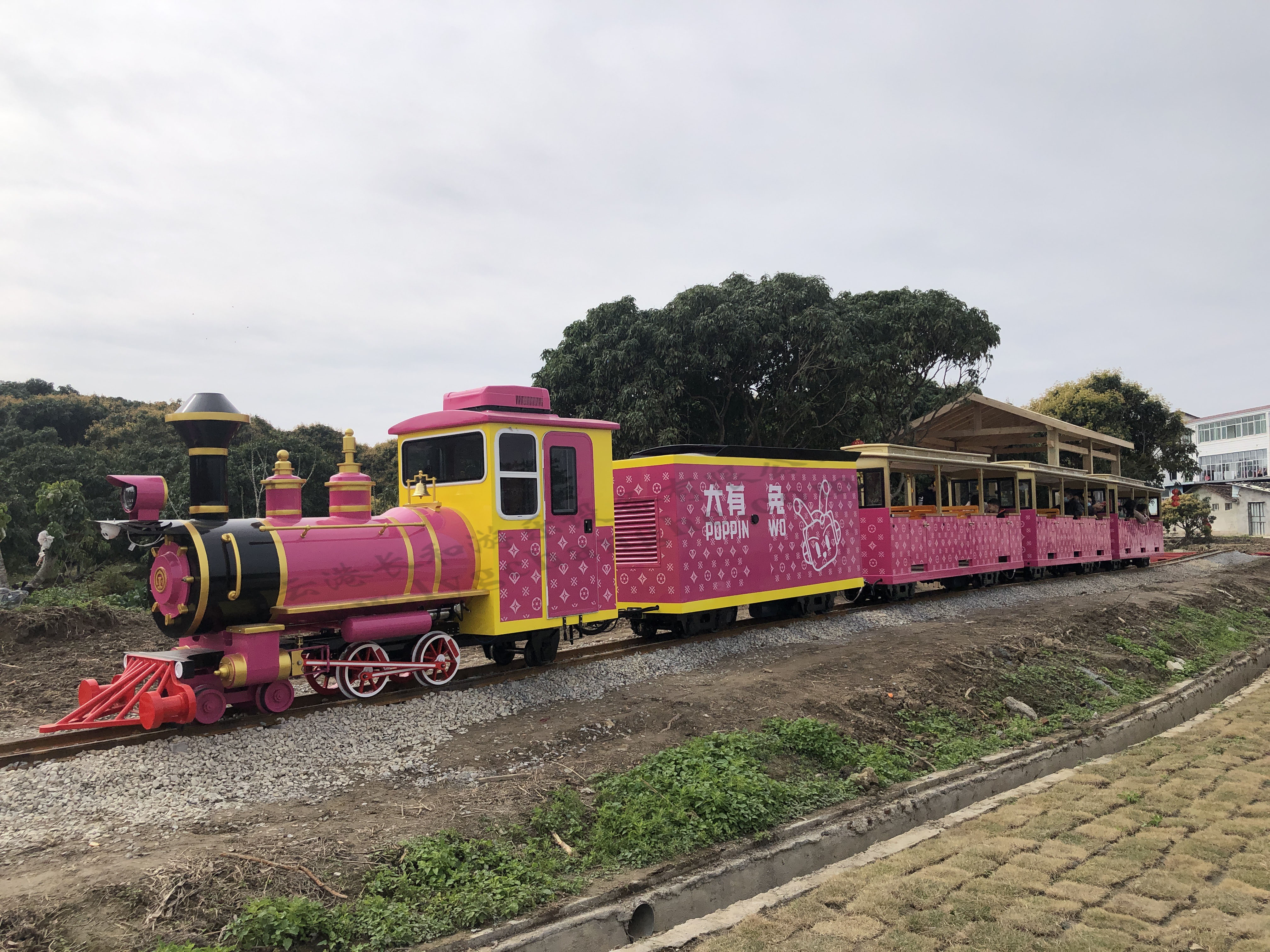 48座轨道观光小火车(老花玫红色）