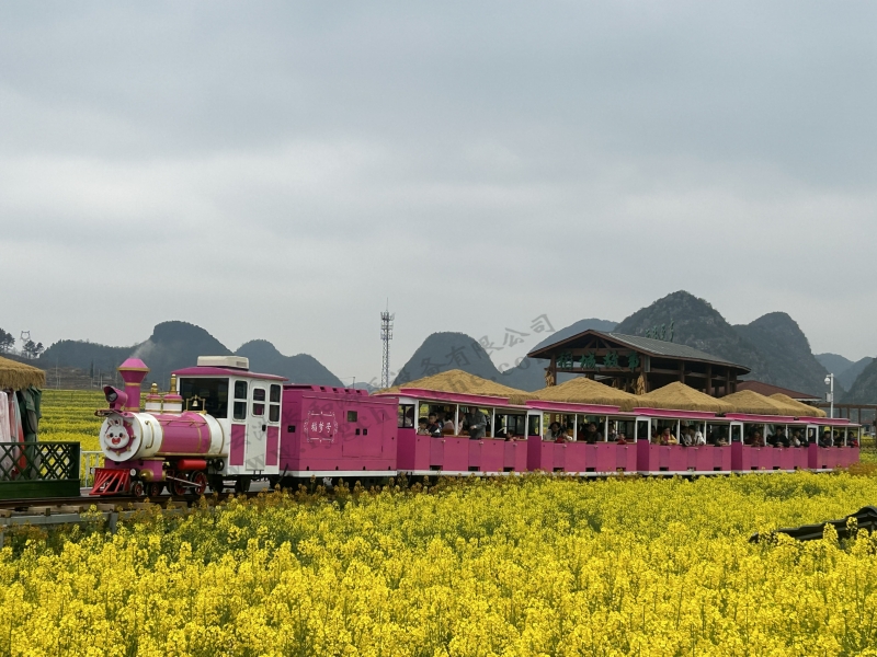 60座轨道观光小火车（玫红色）